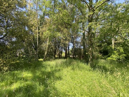 Teren w Saint-Gildas-de-Rhuys, Morbihan