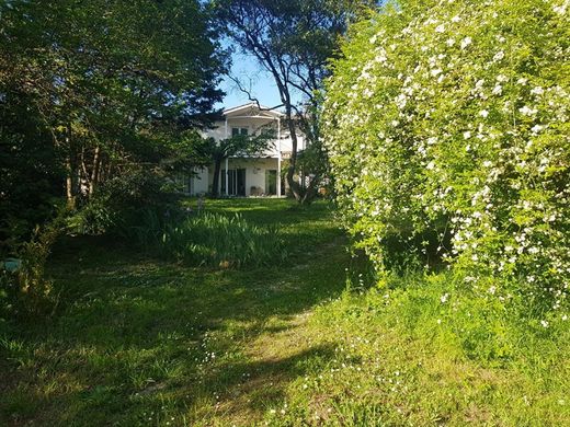 Luxus-Haus in Sainte-Eulalie, Gironde