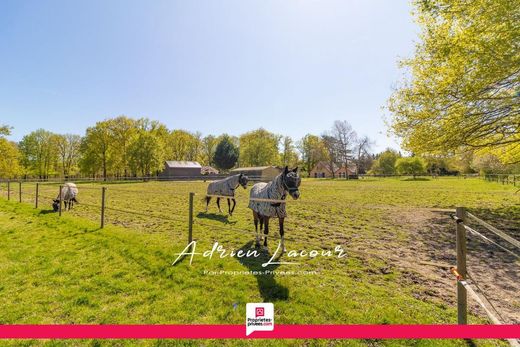 Luxury home in Saint-Julien-sur-Cher, Loir-et-Cher