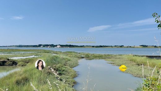 豪宅  Le Tour-du-Parc, Morbihan