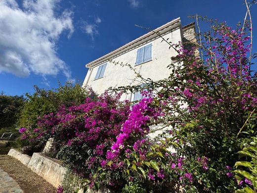 Casa de luxo - Sant'Andréa-di-Cotone, Alta Córsega