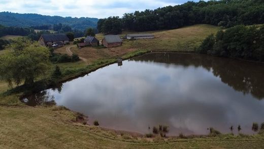 Rural or Farmhouse in Villac, Dordogne