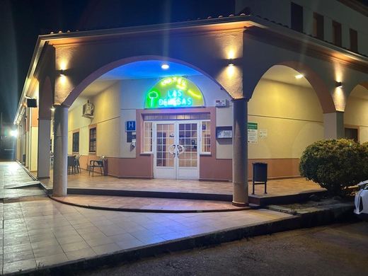 Luxus-Haus in Madridejos, Provinz Toledo