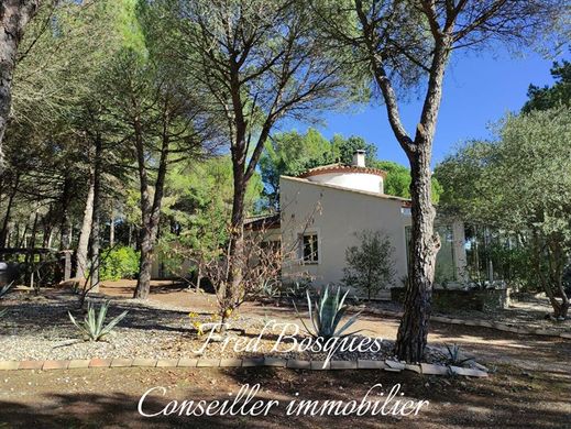 Luxury home in Villemoustaussou, Aude