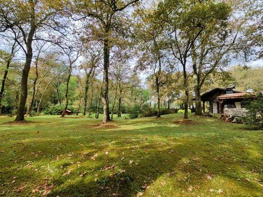 Luxury home in Saint-Paul-lès-Dax, Landes