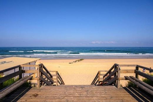 Grundstück in Mimizan, Landes