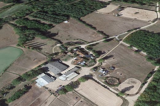 Участок, Ligny-le-Ribault, Loiret