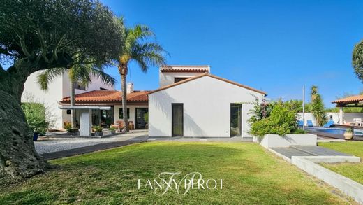 Luxury home in Saint-Cyprien, Pyrénées-Orientales