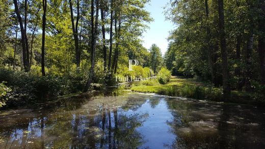 Luksusowy dom w Argent-sur-Sauldre, Cher