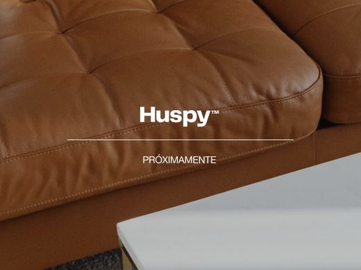 豪宅  Las Espineras del León, Provincia de Albacete