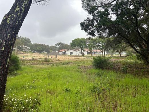 ‏קרקע ב  Seignosse, Landes