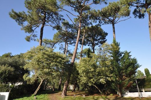 Luxury home in Arcachon, Gironde