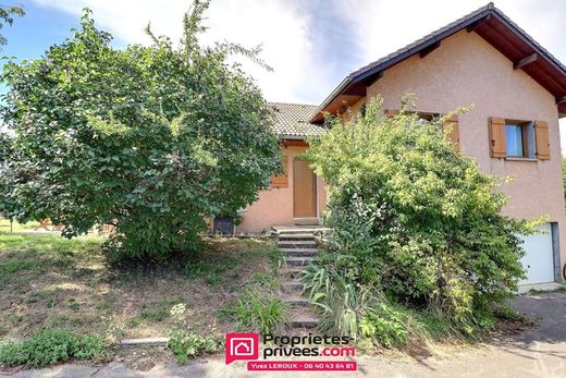 豪宅  Choisy, Haute-Savoie