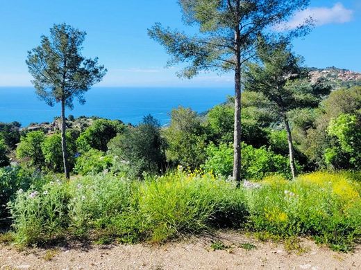 Land in La Turbie, Alpes-Maritimes
