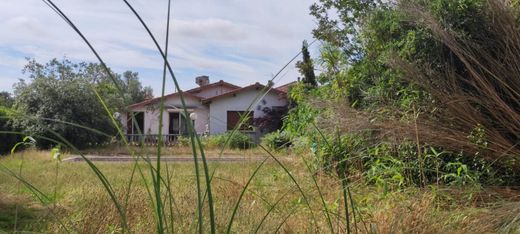 Luxus-Haus in Audenge, Gironde