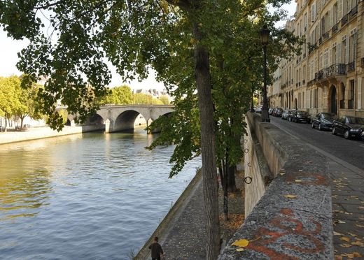 Apartment in Beaubourg, Marais, Notre Dame - Ile de La Cité, Paris
