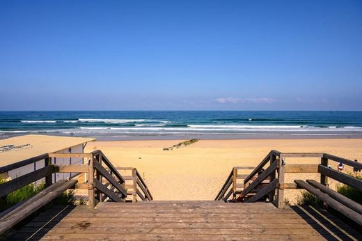 Grundstück in Biscarosse, Landes