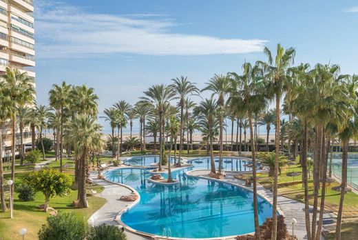 Apartment / Etagenwohnung in Alicante, Provinz Valencia