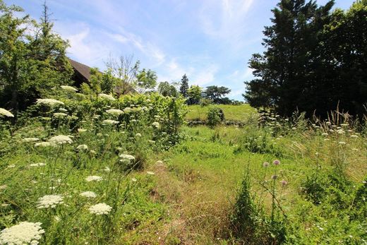 Land in Beaune, Cote d'Or