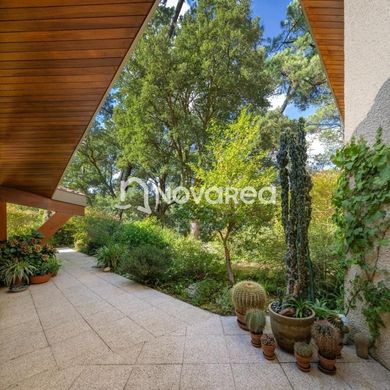 ‏בתי יוקרה ב  Soorts, Landes