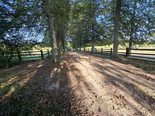 Luxury home in Mortagne-au-Perche, Orne