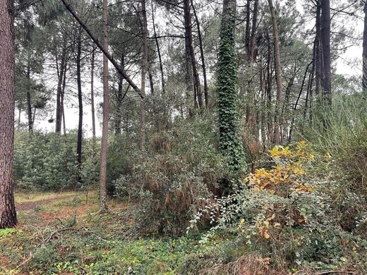 ‏קרקע ב  Lacanau, Gironde