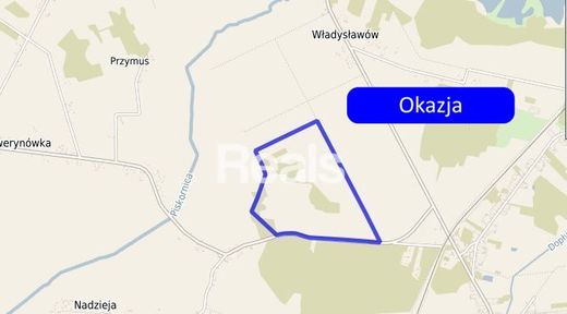 Land in Nadzieja, Powiat parczewski