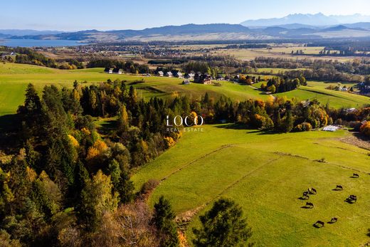 Nowy Targ, Powiat nowotarskiの土地
