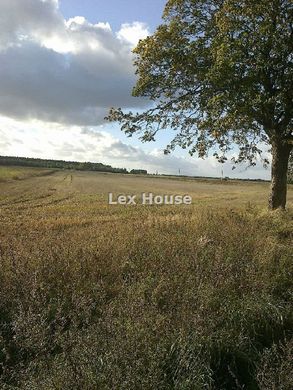 ‏קרקע ב  Dobra, Powiat policki