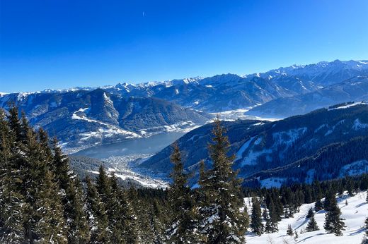 Land in Zell am See, Politischer Bezirk Zell am See