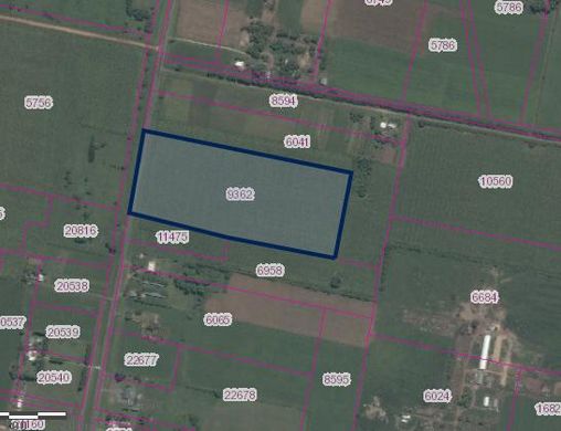 Teren w Carmelo, Colonia