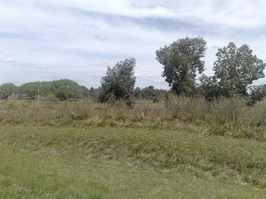 Grundstück in General Pacheco, Partido de Tigre