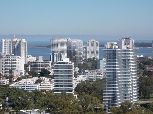 Property in Punta del Este, Punta Del Este