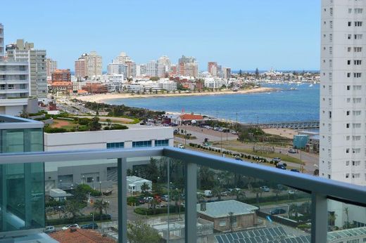‏נכס ב  Punta del Este, Punta Del Este