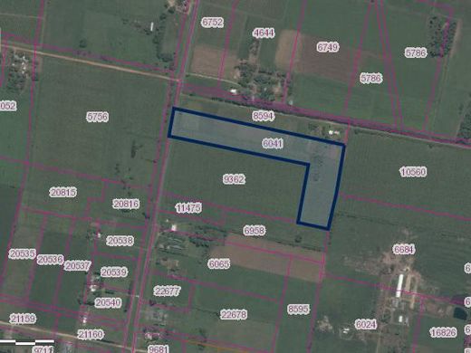 Teren w Carmelo, Colonia