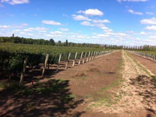 Boerderij in San Rafael, Departamento de San Rafael