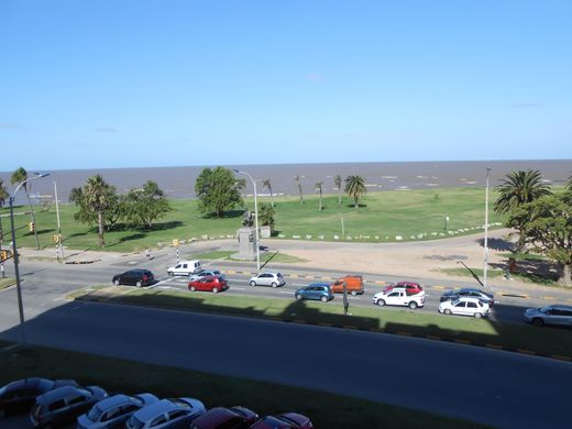 Propiedad en Punta Carretas, Municipio Ch