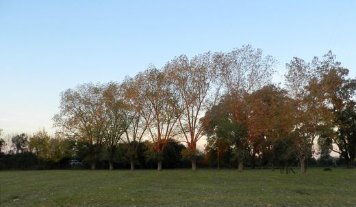 Terrain à Belén de Escobar, Partido de Escobar