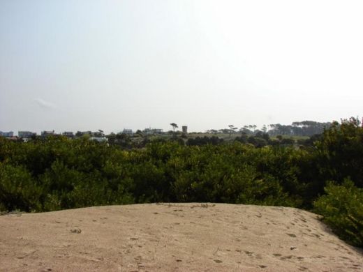 Terreno en José Ignacio, Garzón