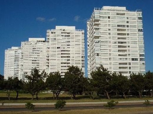 Property in Punta del Este, Punta Del Este