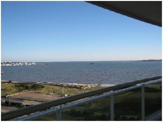 Özellikler Punta del Este, Punta Del Este