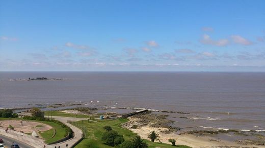 Propriété à Malvin, Municipio B