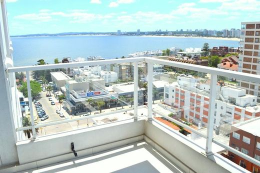 ‏נכס ב  Punta del Este, Punta Del Este