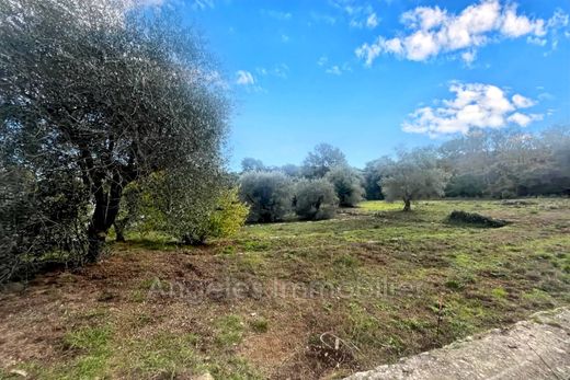 Terreno - Valbonne, Alpes Marítimos