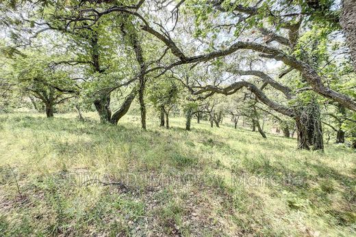 Land in Grimaud, Var