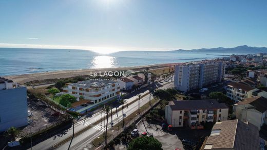 Appartement in Saint-Cyprien, Pyrénées-Orientales