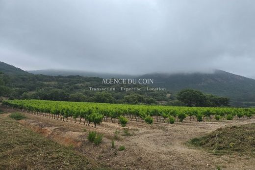 别墅  Grimaud, Var