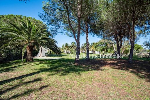 ‏קרקע ב  Perpignan, Pyrénées-Orientales