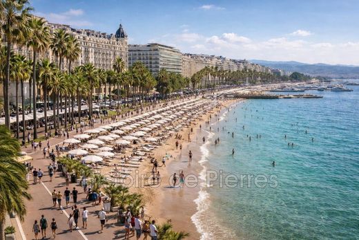 Daire Cannes, Alpes-Maritimes