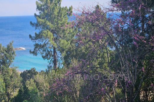 Villa in Tarco, South Corsica